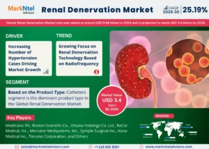 Global Renal Denervation Market