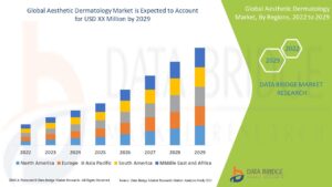 Aesthetic Dermatology Market