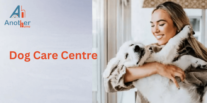 Dog Care Center: The Ultimate Guide to Keeping Your Furry Friend Happy and Healthy - Australia News Network , Free Guest Posting Sites, Article Submission Sites