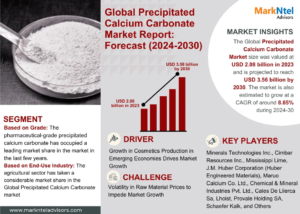 Precipitated Calcium Carbonate Market